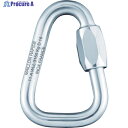 PEGUET MR クイックリンク ステンレス製 デルタ 6.0mm MRDI06.0 1個 ▼819-2009