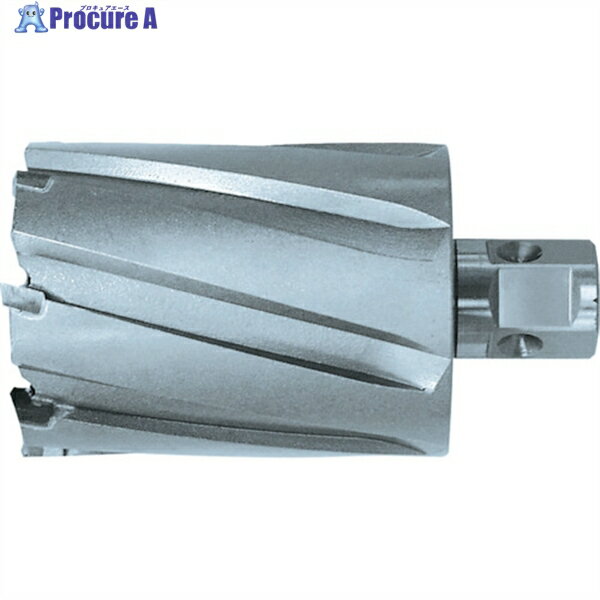 日東 ジエットブローチ ワンタッチタイプ 25X50L 16425 NO.16425 1本 ▼117-2123 ●KO521