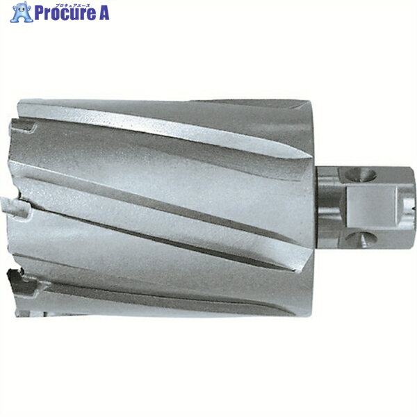 日東 ジエットブローチ ワンタッチタイプ 50X50L 16450 NO.16450 1本 ▼117-2387 ●KO521