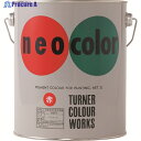 ターナー ネオカラー 黄緑 A色3L NC00304 1缶 ▼194-8768