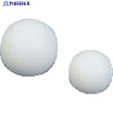 フロンケミカル フッ素樹脂(PTFE)球 鉄芯入 25.4Φ×19.05Φ NR0309-004 1個 ▼246-4600