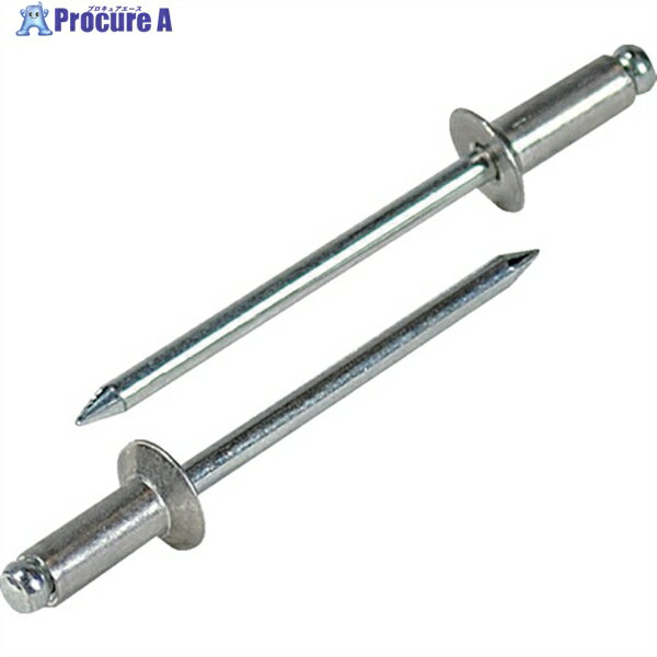 エビ ブラインドリベット・皿頭 アルミ/スティール 4-8 (1000本入) NSA48K 1箱 ▼372-4034 ●YA513