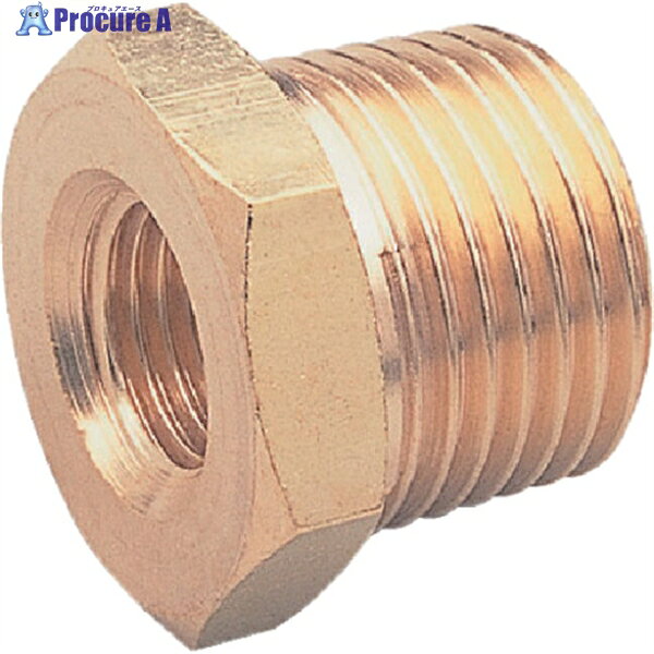 ASOH ブッシング PT1/4X1/8 NB-1021 1個 ▼374-0919