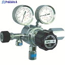 YAMATO 分析機用バランス式調整器 NPR-1B-R-13N01-2210-F NPR-1B-R-13N01-2210-F-HE 1個 ▼434-4863