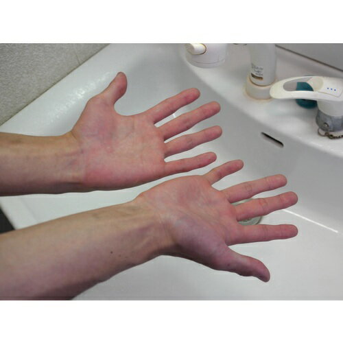 リズミィ　シャンプー　10L　業務用