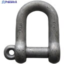 TAIYO 捻込シャックル ドブ 22MM(3013170) NGS22G 1個 ▼753-1567