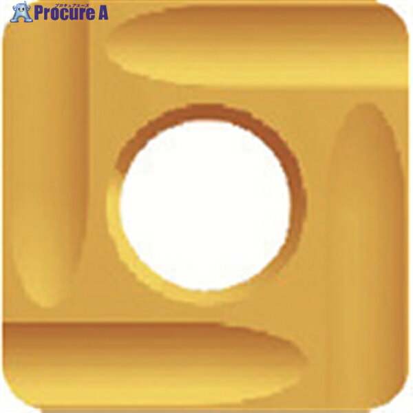 富士元 フェイス加工用Nタイプ精密級チップ 超硬M種 TiN NK3030 N43GUR NK3030 12個 ▼796-5907