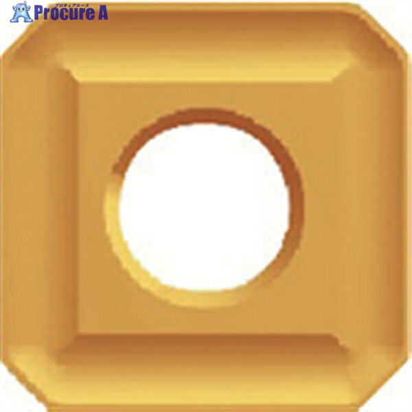 富士元 フェイス加工用Nタイプ並級チップ 超硬M種 TiNコーティング NK3030 N43MOZ NK3030 12個 ▼796-6083