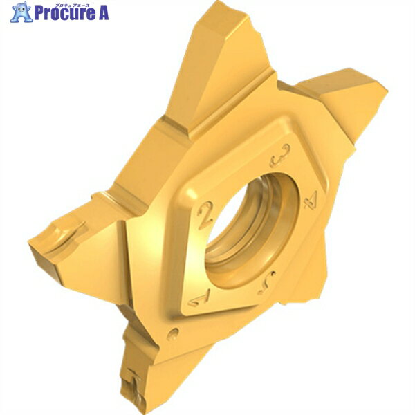 イスカル ペンタカット チップ PENTA 24N-J IC908 PENTA 24N250J020 IC908 5個 ▼110-8916 ●O585