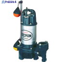 TERADA 汚水用水中ポンプ 自動 50Hz PGA-400T 50HZ(サンソウ200V) 1台 ▼227-3969