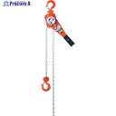 OH レバーホイスト 0.8ton OHLV-0.8-2 1台 ▼383-5204