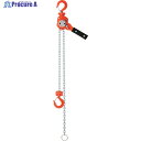 OH レバーホイスト 0.25ton OHLV-0.25-2N 1台 ▼383-5205