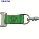 allsafe ロープタイオフ PCH-DSR 1個 ▼479-4761
