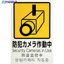 光 多国語防犯サイン 防犯カメラ作動中 PBH302-1 1枚 ▼595-1675