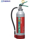 NDC ABC粉末消火器本体6型 PAN-6AWE 1本 ▼654-8081