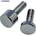 TRUSCO パネルフィクスバー ボルト M5 Φ8—3—12mm 4個入 PF-AB080 1パック ▼855-5787