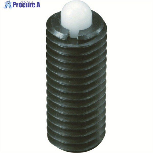 kipp ץ󥰥ץ󥸥㡼(Ųٽѡԥ)M6 PLN6 1 105-8797