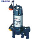 TERADA 汚物混入水用水中ポンプ 自動 0.25kw 全揚程6m 60Hz PXA-250T 60HZ 1台 ▼227-3730
