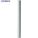 AION カネフィールR 750mm 公称精度100μm R-2710T 1本 ▼384-6768