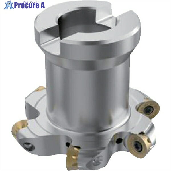 セコ フライス サイドカッタ335.18/25 カッター R335.29I-063.10.22-6N-R5A 1個 ▼428-6837(4)