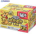 IRIS 264589 ぽかぽか家族貼るレギュラー 60P PKN-60HR 1箱 ▼683-8360