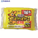 IRIS 264592 ぽかぽか家族 貼るミニ 10P PKN-10HM 1パック ▼754-9873
