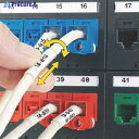 PANDUIT 熱転写ハンディプリンタ用回転ラベル 白 印字部25.4mmx6.4mm ラベル数150枚 R100X075V1C R100X075V1C 1箱 ...
