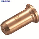 マイト チップ (10個入) PTT-40L 1箱 ▼835-4115