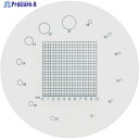 リーフ ガラススケール S-207 S-207 1個 ▼223-2596