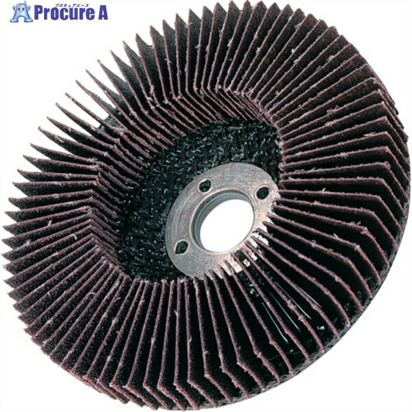 AC ラジアルディスク(ホイル) 外径×穴径:100×15mm 粒度(#)150 RF10015-150 5枚 ▼306-2848