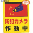 光 防犯カメラ作動中0.2×80×100 RE801-2 1枚 ▼321-0715