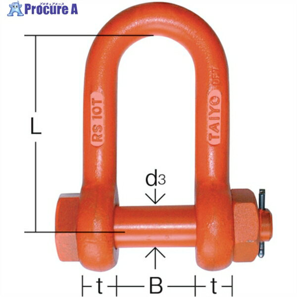TAIYO 軽量シャックル RS-10t(1062618) RS10T 1個 ▼331-9466
