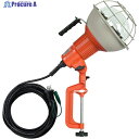 ハタヤ 防雨型作業灯 リフレクターランプ300W 100V接地付5m バイス付 RG-305K 1台 ▼370-4254
