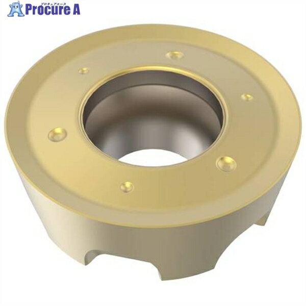 セコ フライス 金型用インサート RPHT1605M0T F40M RPHT1605M0T-6-M12 F40M 10個 ▼430-4477