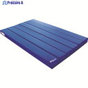 マルイチ ロールマット 10A-6W Mブルー RM-10A-6W-B-1 1枚 ▼855-9296