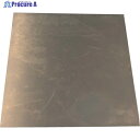 TRUSCO シムプレート 鉄 0.2×100×200mm SISPC0.2-100-200 1枚 ▼256-2947