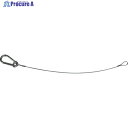 TRUSCO オールステンレスワイヤカットロープ両端ワッパ+片側スナップフック付 1.0Φ×300mm SCWSF100-30 1本 ▼364-5270