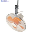 Suiden 工場扇 ハンガータイプ(プラスチックハネ)45cm 単相200V SF-45MHV-2VP 1台 ▼460-2790