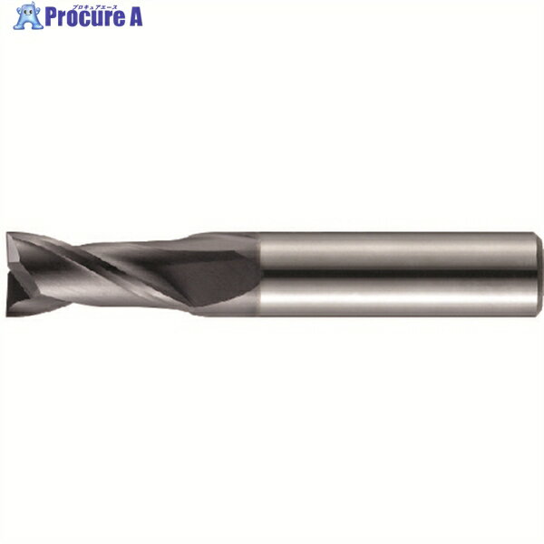 ダイジェット ソリッドエンドミル(2枚刃) 1mm SEM2010 1本 ▼492-0406