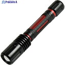 NICHIDO フォーカスLEDライト アンタレス 電池式 5W SL-5F 1本 ▼162-3665
