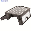 NICHIDO ソーラーLEDセンサーライト エコフラッシュミニ5W SOL-5PIR-60K 1台 ▼206-6528