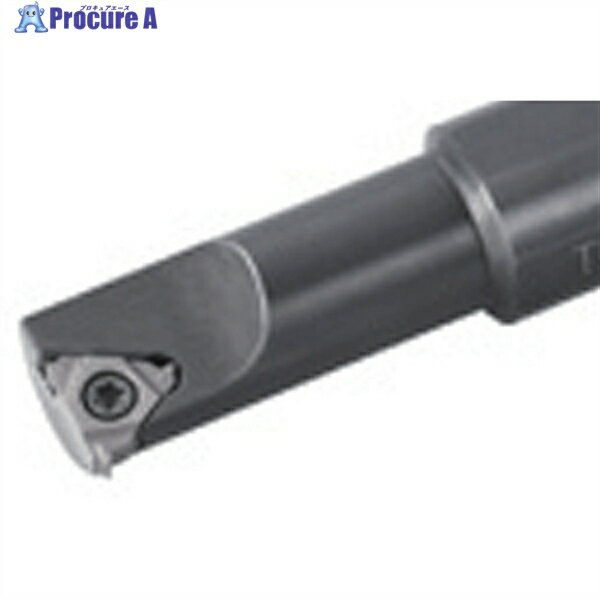 タンガロイ タング・スレッド 内径ねじ切り加工用バイト SNR/L SNL0013L11 1個 ▼711-0669 ●MA515