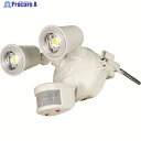 NICHIDO LEDセンサーライト クラブアイ 20W(10W×2灯) 1800Lm SLS-CE20W-2P 1台 ▼836-6231
