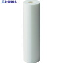 AION カネフィールR 250mm 公称精度10μm (2本/パック) 10R-2350 1パック ▼384-6296