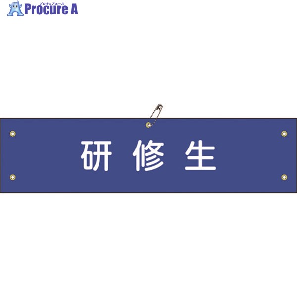 緑十字 布製腕章 研修生 腕章-50B 80×360mm ビニール製カバー付 139250 1本 ▼814-9634