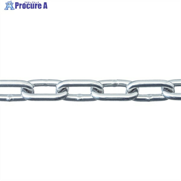 ニッサチェイン SUS316 ヘビーリンクチェイン 30M SW1060HG 1本 ▼114-2750 ※車上渡し