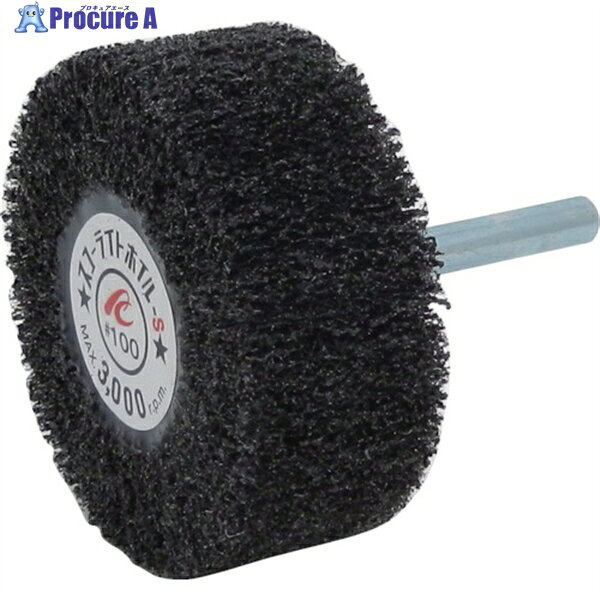 AC 饤ȥۥS 6mm #100 6025߼Ĺ40 SW6025-S-100 5 306-6991