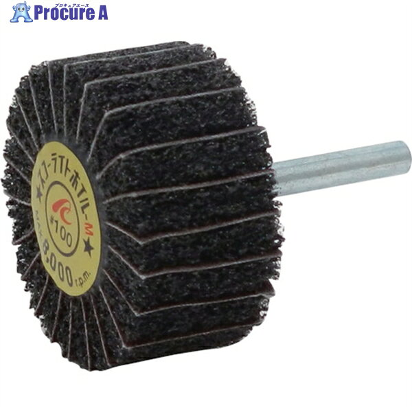 AC スコーライトホイルM 軸径6mm #100 外径50×幅25×軸長40 SW5025-M-100 5個 ▼306-7394