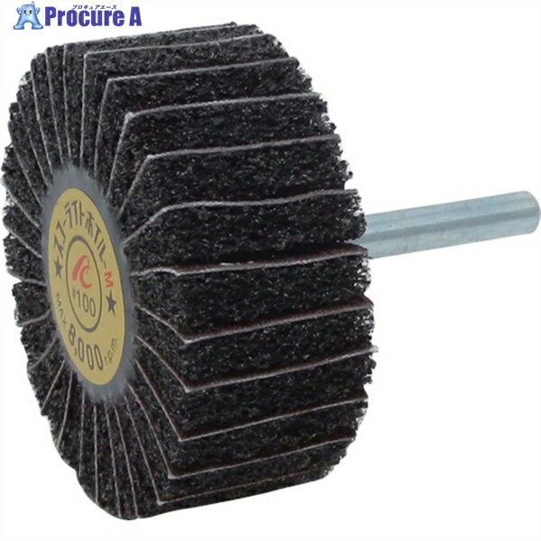 AC 饤ȥۥM 6mm #100 6025߼Ĺ40 SW6025-M-100 5 306-7475