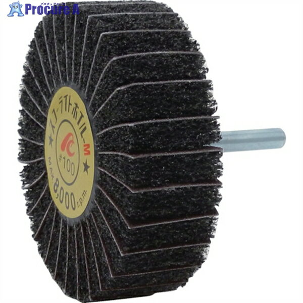 AC 饤ȥۥM 6mm #100 8025߼Ĺ40 SW8025-M-100 5 306-7556